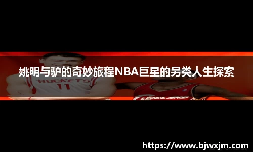 姚明与驴的奇妙旅程NBA巨星的另类人生探索